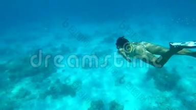 美丽的女人在<strong>水下</strong>潜水。 蜗牛女孩在蓝色的克里斯特尔<strong>清</strong>水中游泳。 <strong>高清</strong>。 西米兰，泰国。